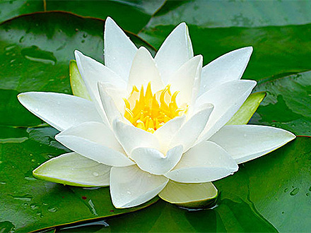 集团官方首页|365上市公司(英国)集团-英国365上市公司-英国365集团官网登录-英国正版365官网