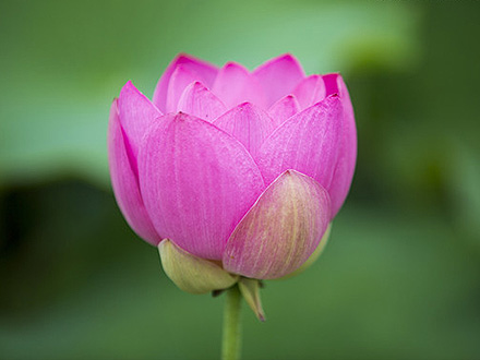 英国365集团官网登录产品中心