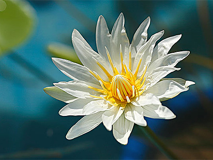 英国365上市公司产品中心